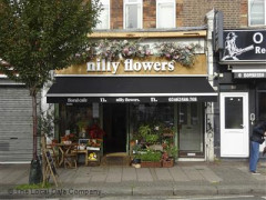 Nilly Flowers image