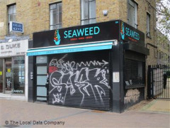 Seaweed image