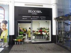 Blooms image
