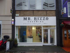 Mr. Rizzo Grooming image