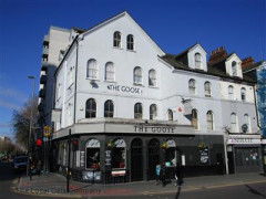 The Goose image