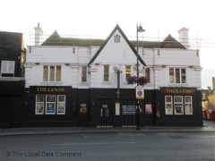 The Goose image