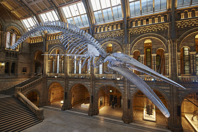 Culture vultures: head to London's best museums and galleries picture