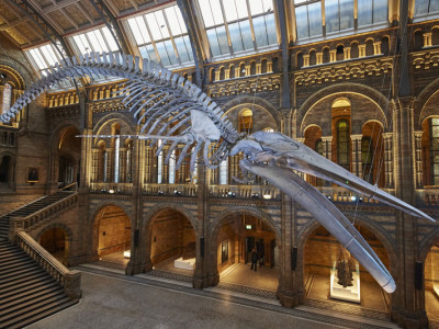 Culture vultures: head to London's best museums and galleries image