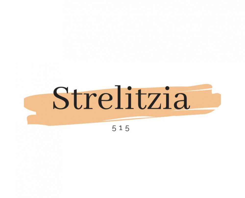 Strelitzia image