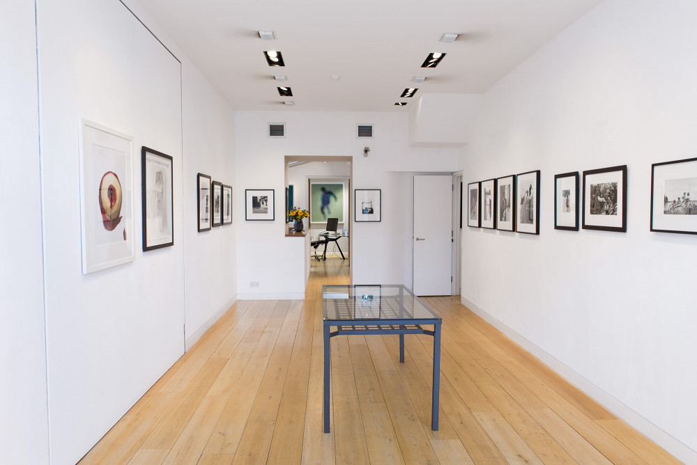 Hackelbury Fine Art Picture