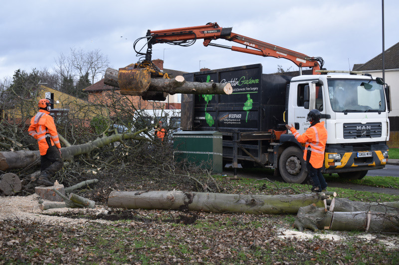 GraftinGardeners Ltd Picture