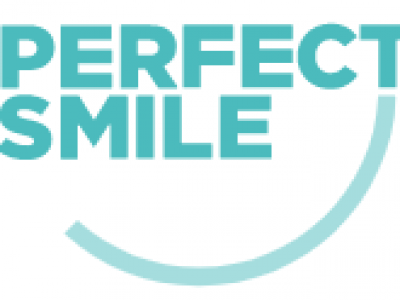 The Perfect Smile image