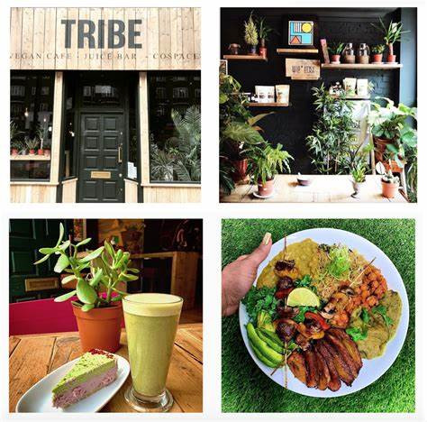 Tribe Picture