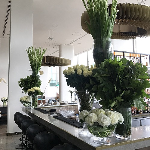 Flowers & Plants Co. Picture