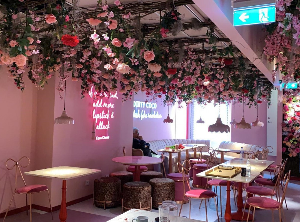 Flowers & Plants Co. image