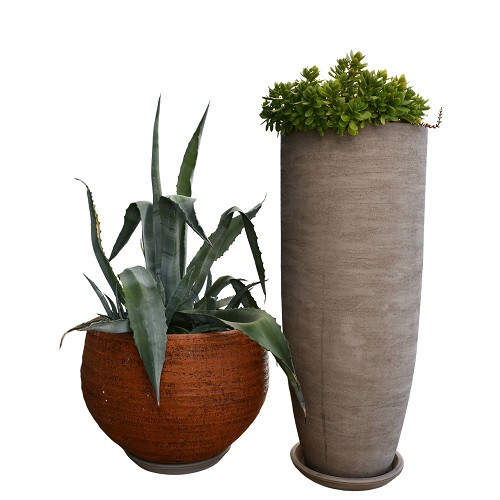 Flowers & Plants Co. Picture