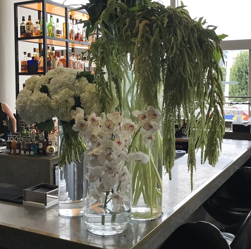 Flowers & Plants Co. Picture