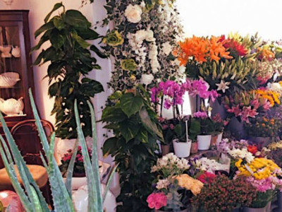 Floral Creations London image