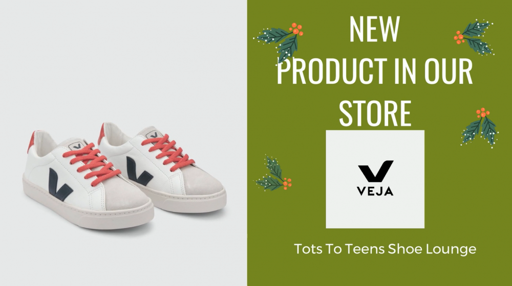 Veja Shoe brand