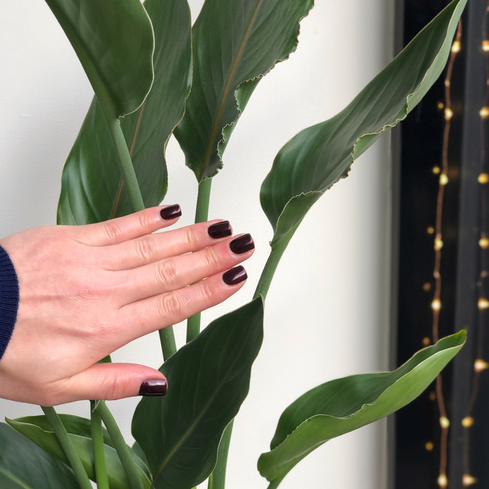 The Nail Lounge Picture