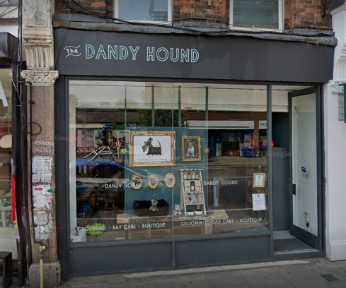 The Dandy Hound
