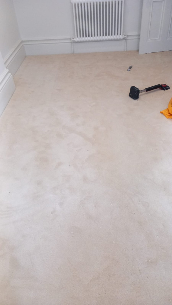 Carpets 4 All Seasons Picture