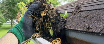 Gutter Cleaning Services