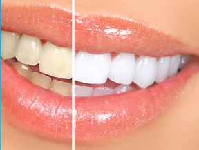 Millbank Dental Care Picture