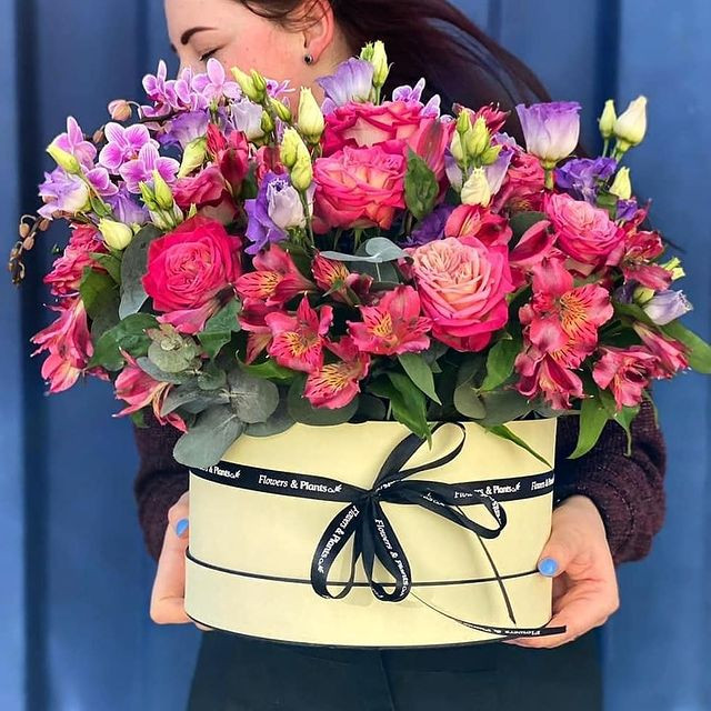 Flowers & Plants Co. image