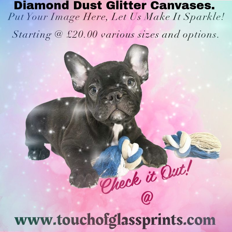 Diamond dust glitter canvases