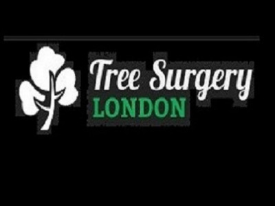 Tree Surgery London image