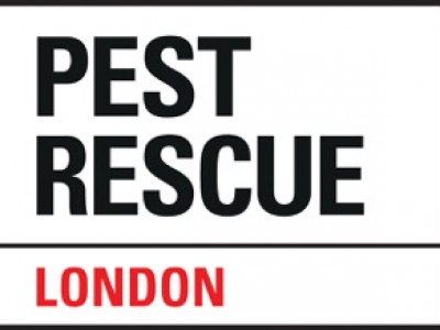 Pest Rescue image
