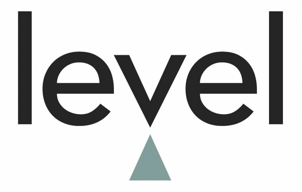 Level Group image