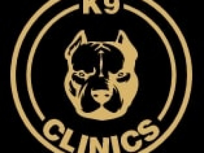 K9 Clinics image