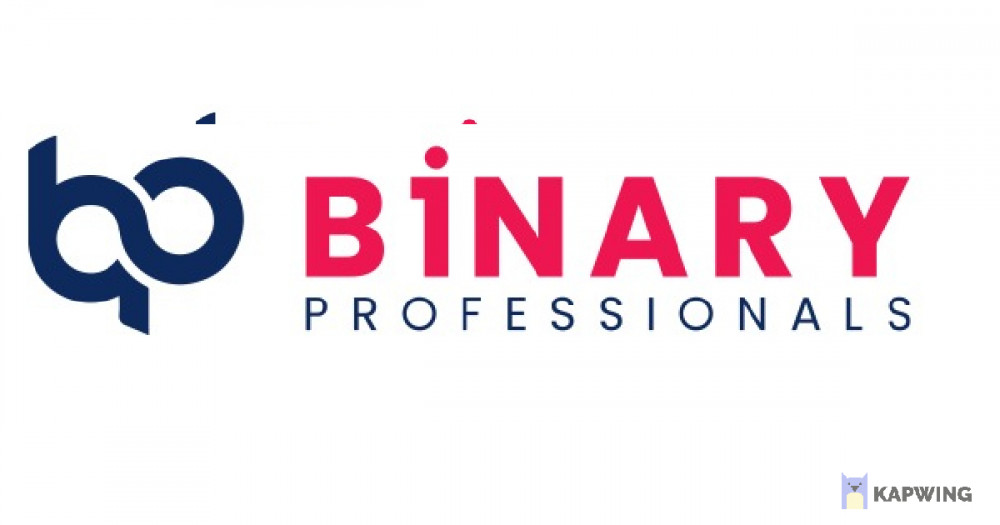 Binary Professionals