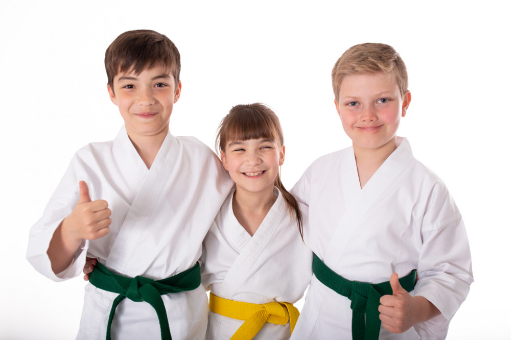 Ju Dachi Martial Arts LTD image