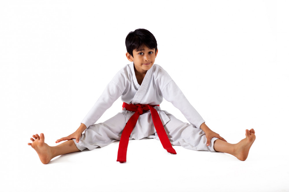 Ju Dachi Martial Arts LTD Picture