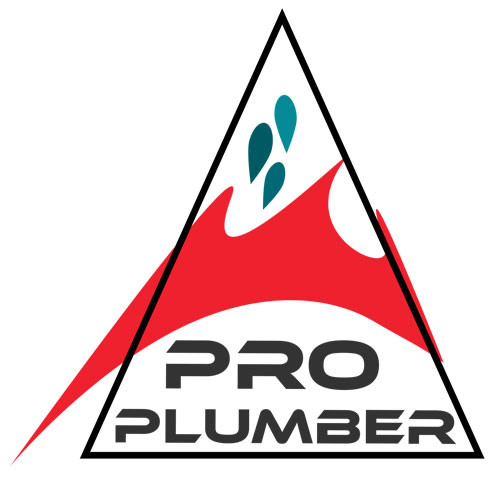 Pro Plumber Ltd image