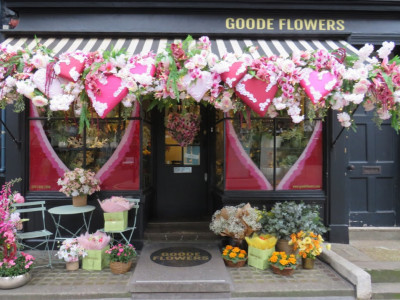 Goode Flowers image