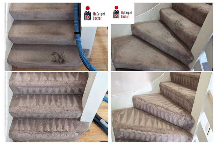 My Carpet Doctor Picture