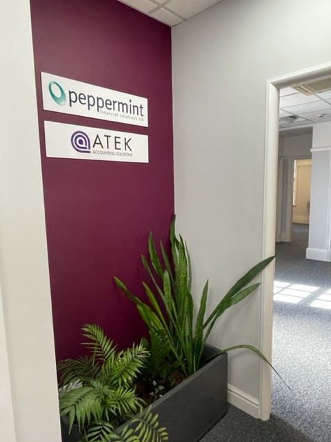 Atek Accounting Picture