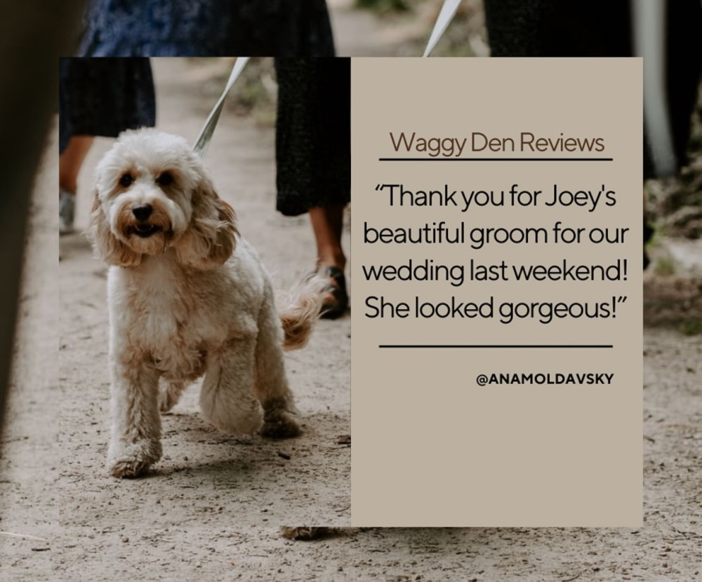 Waggy Den image