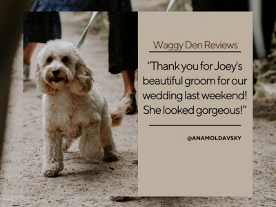 Waggy Den image