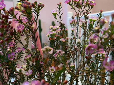 W11 Flowers image