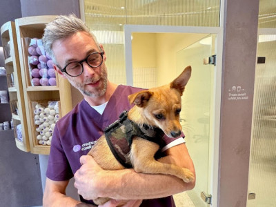 Creature Comforts Vets image