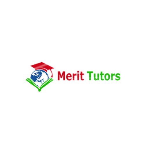 Merit Tutors image