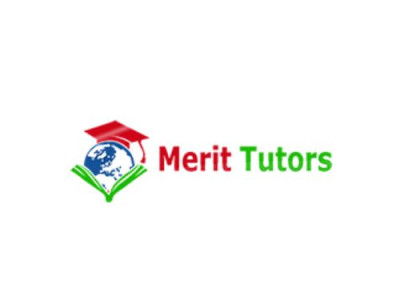 Merit Tutors image