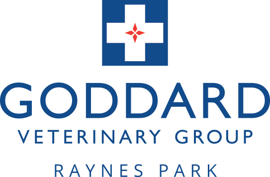 Goddard Veterinary Group Raynes park image