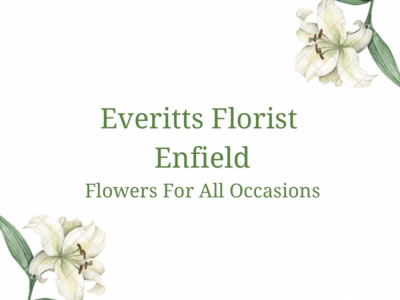 Everitt image