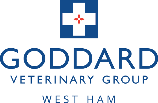 Goddard Veterinary Group West Ham Picture