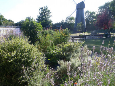 Brixton Windmill image