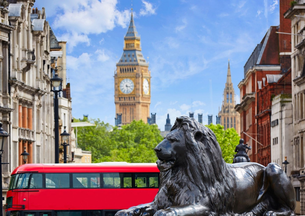 See The Sights Tours Picture
