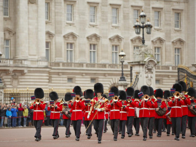 See The Sights Tours image
