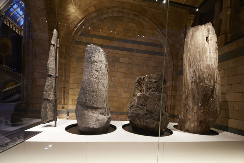Natural History Museum Picture